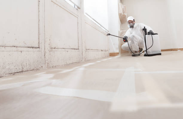 24/7 Emergency Mold Remediation experts in Bluemont, VA